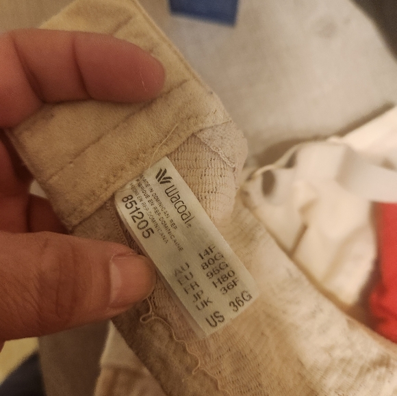 Wacoal Unlined Halo Lace Bra size 36G - Picture 3 of 3